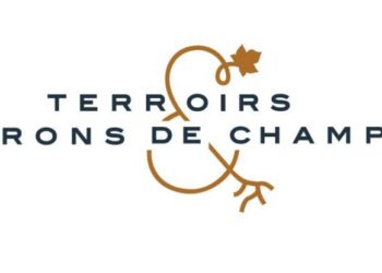 intervention de Jacques DABERE lors du webinaire récent de TEVC