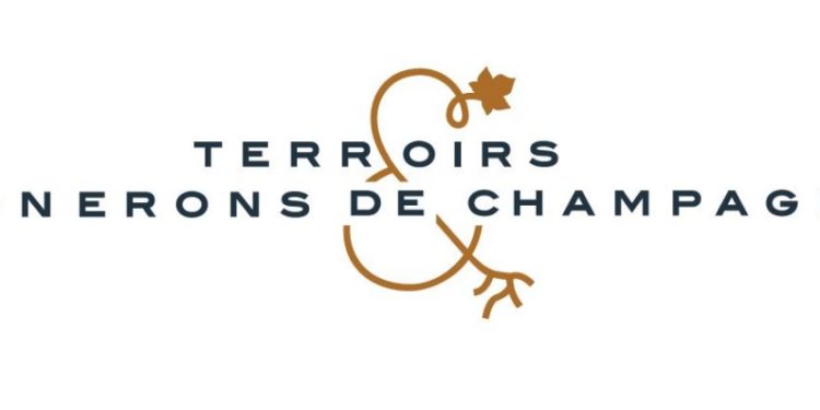 intervention de Jacques DABERE lors du webinaire récent de TEVC